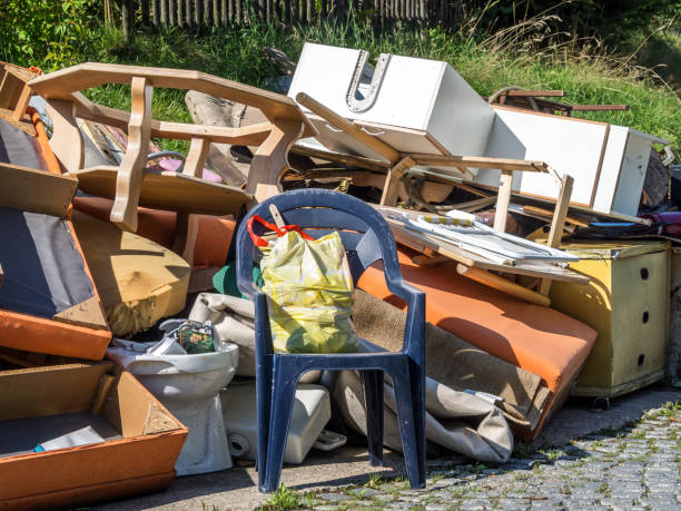 Best Electronics Removal Services  in Tyler, MN